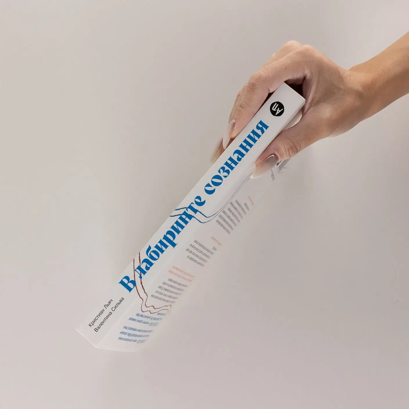 В лабиринте сознания: Иллюcтрированный путеводитель по психиатрии фото книги 3