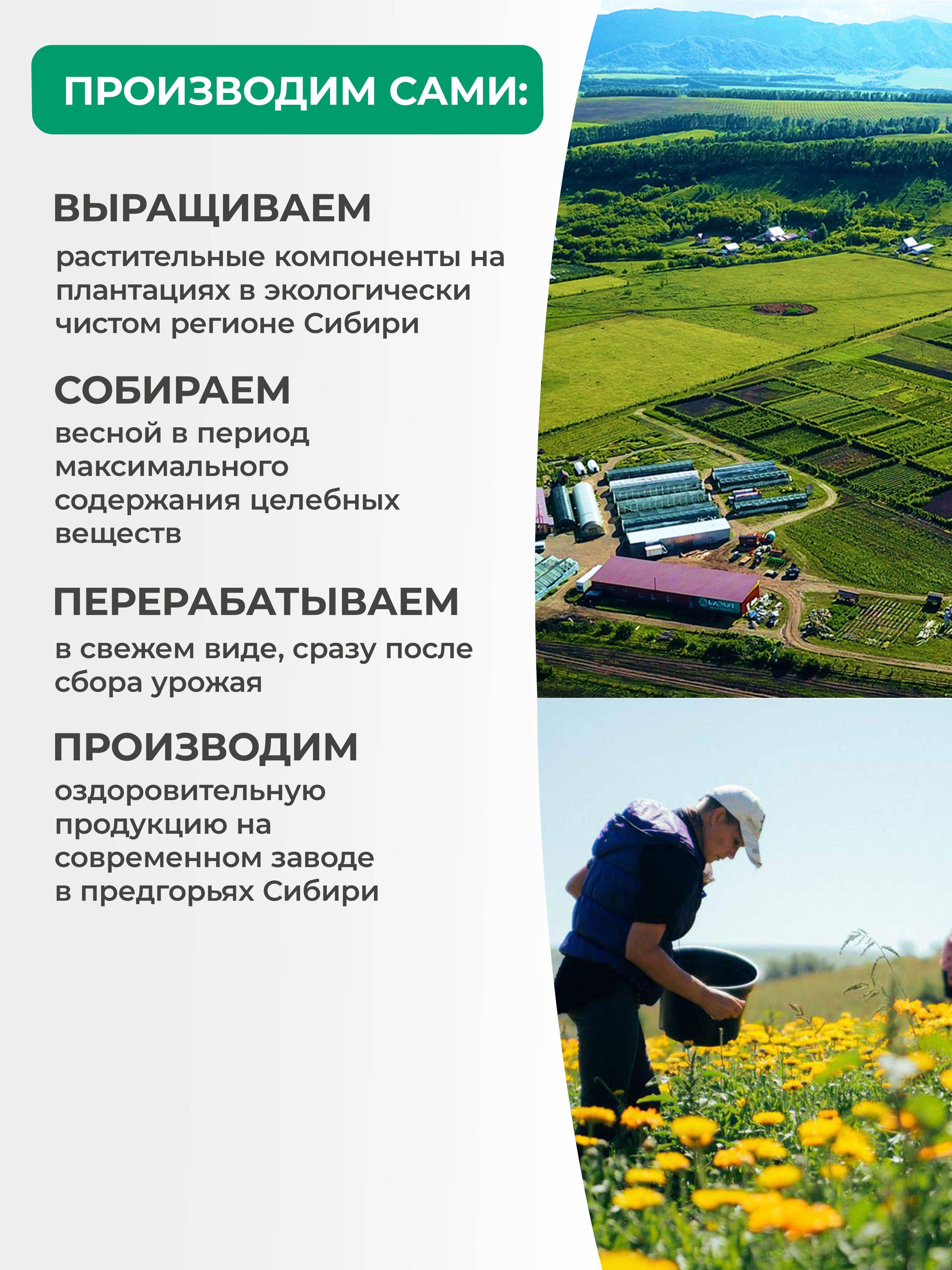 Biolit PRO-sanatio Fitosanation Program – Poplar Root Extract, Populin, Hepatosol‑Forte (200 ml) #5