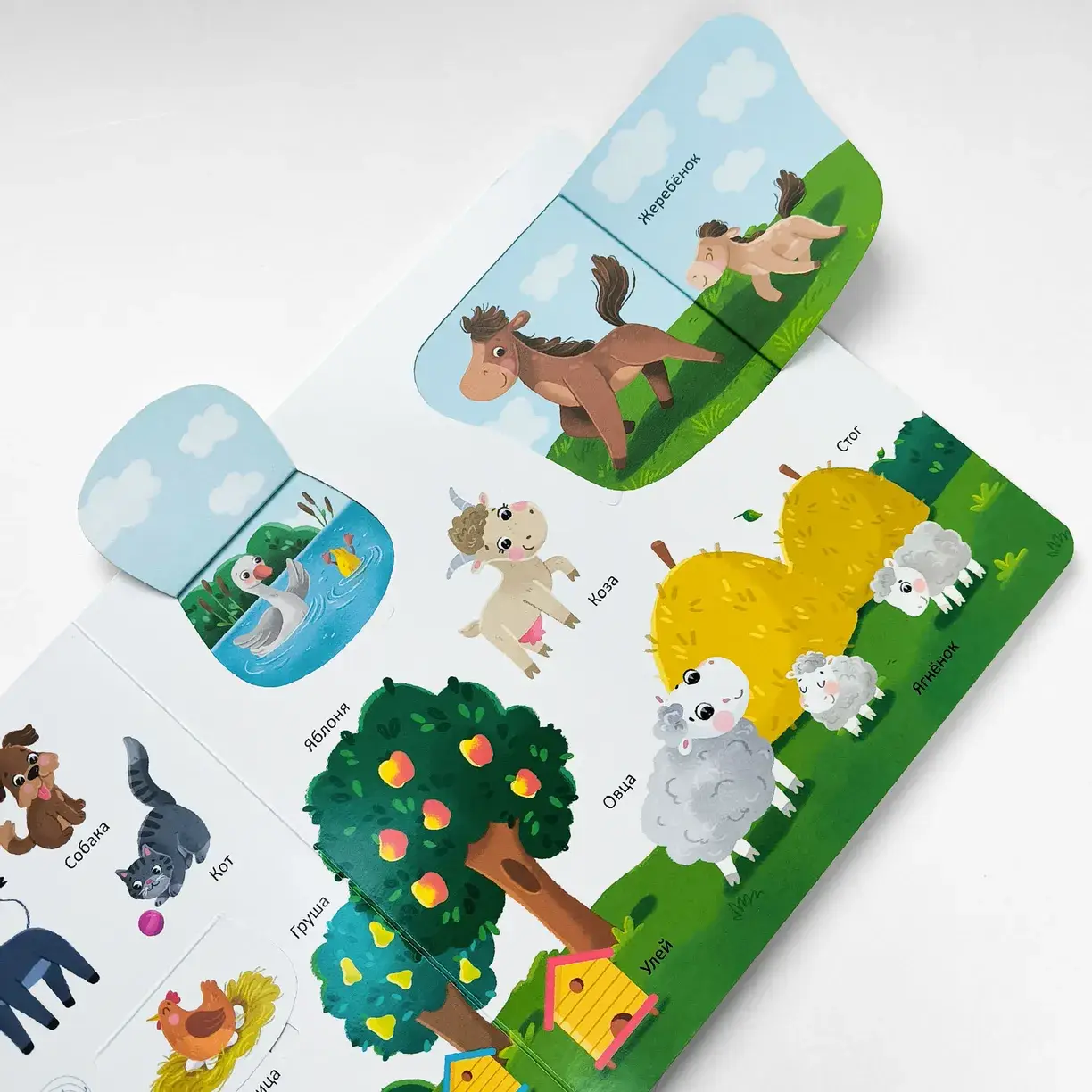 150 первых слов. Животные фото книги 3