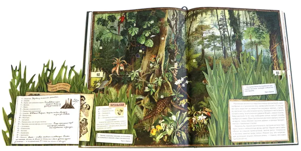 Затерянный мир фото книги 5