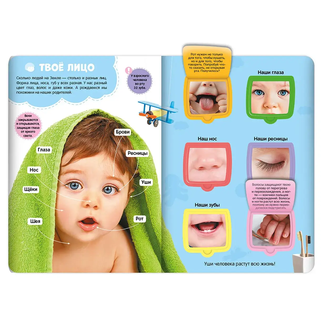 Мое тело. Энциклопедия с окошками фото книги 3