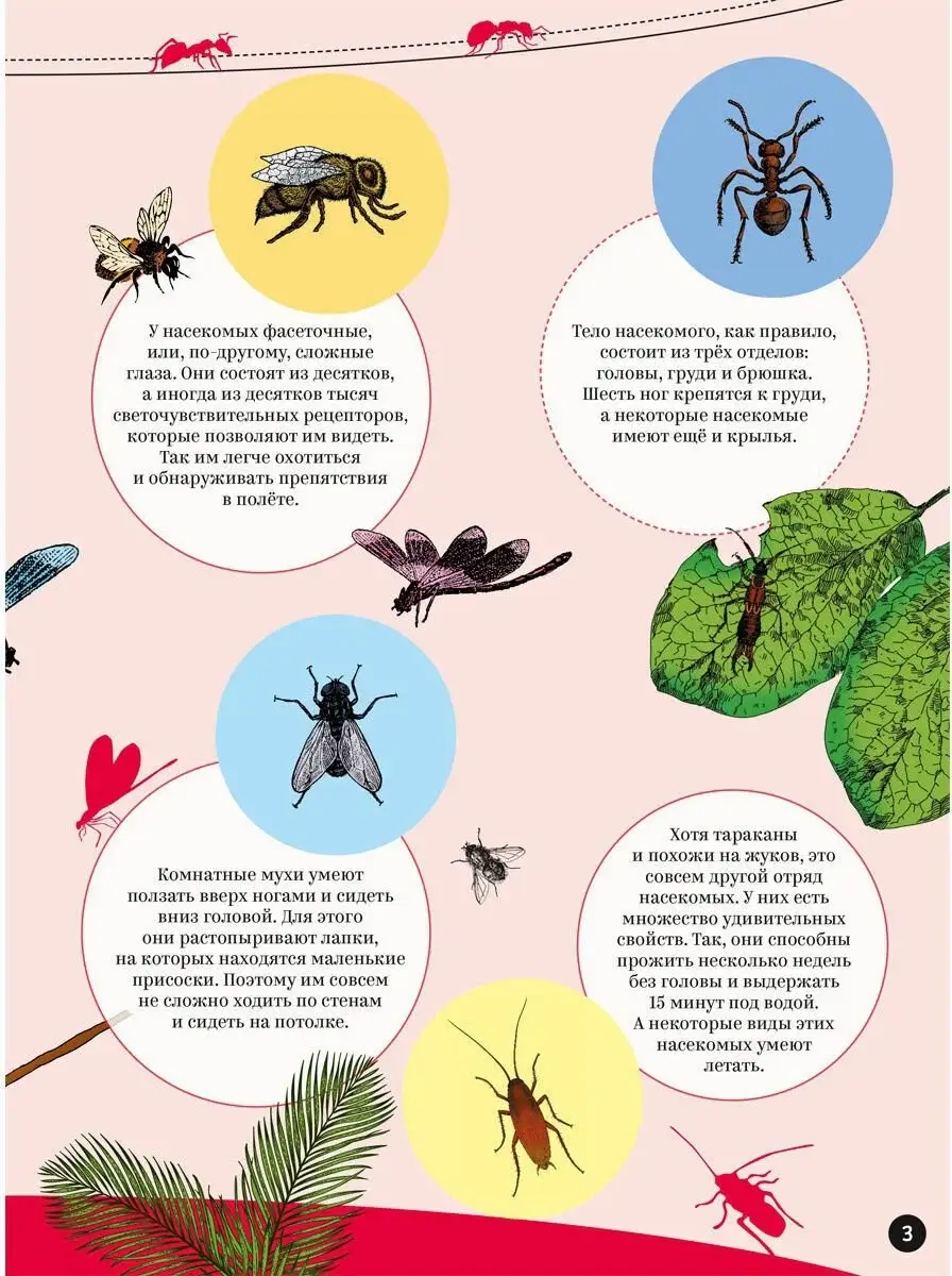 Насекомые фото книги 2