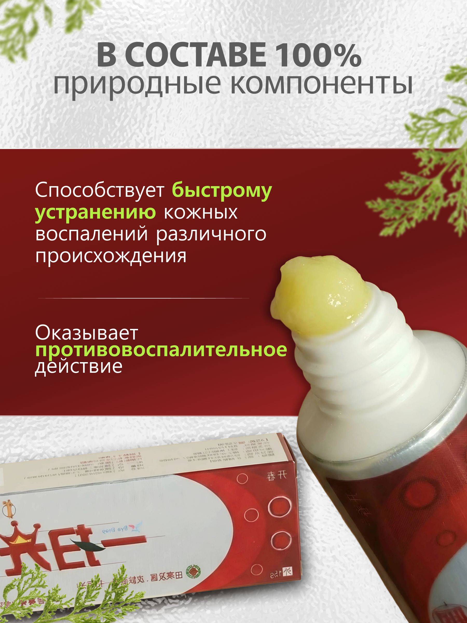 Dabro Chinese medicinal ointment for skin, 15 g tube, 2-count pack #2