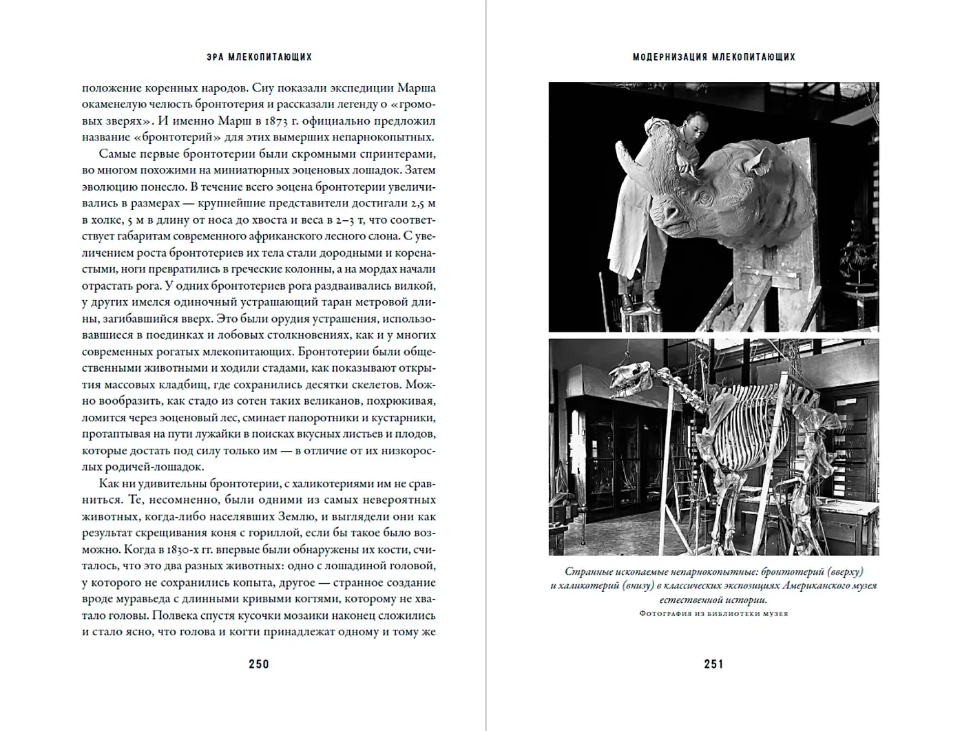 Эра млекопитающих: Из тени динозавров к мировому господству фото книги 3