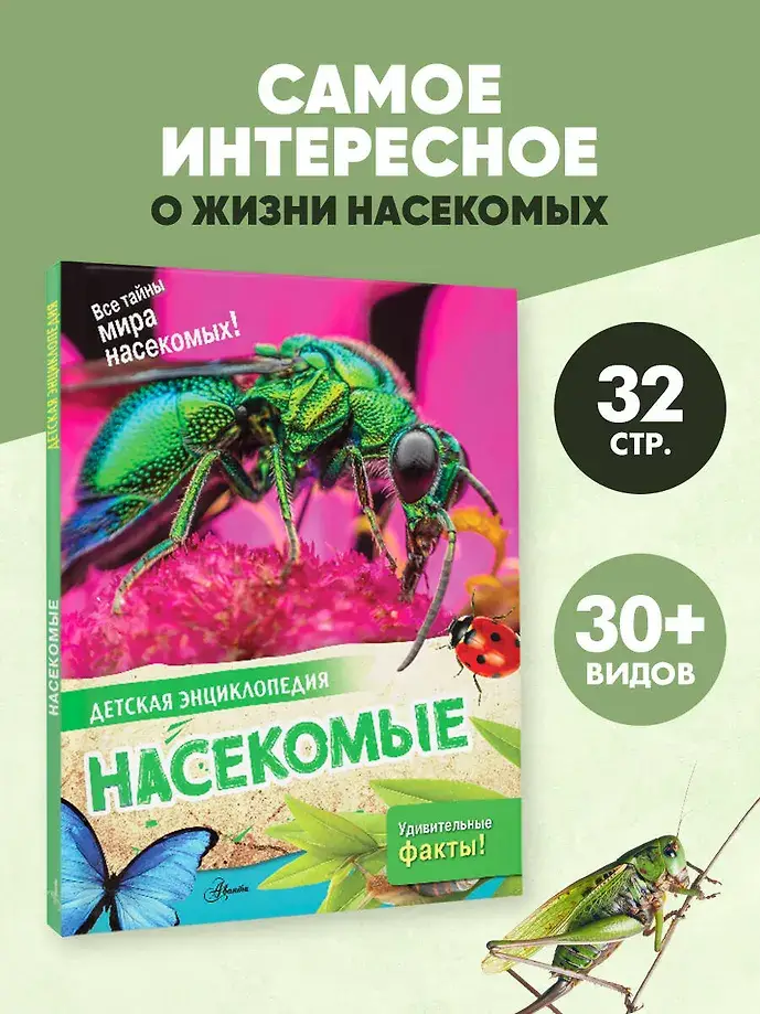 Насекомые фото книги 3