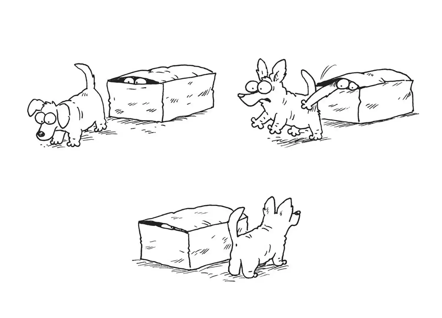 Кот Саймона: собачий ответ фото книги 4