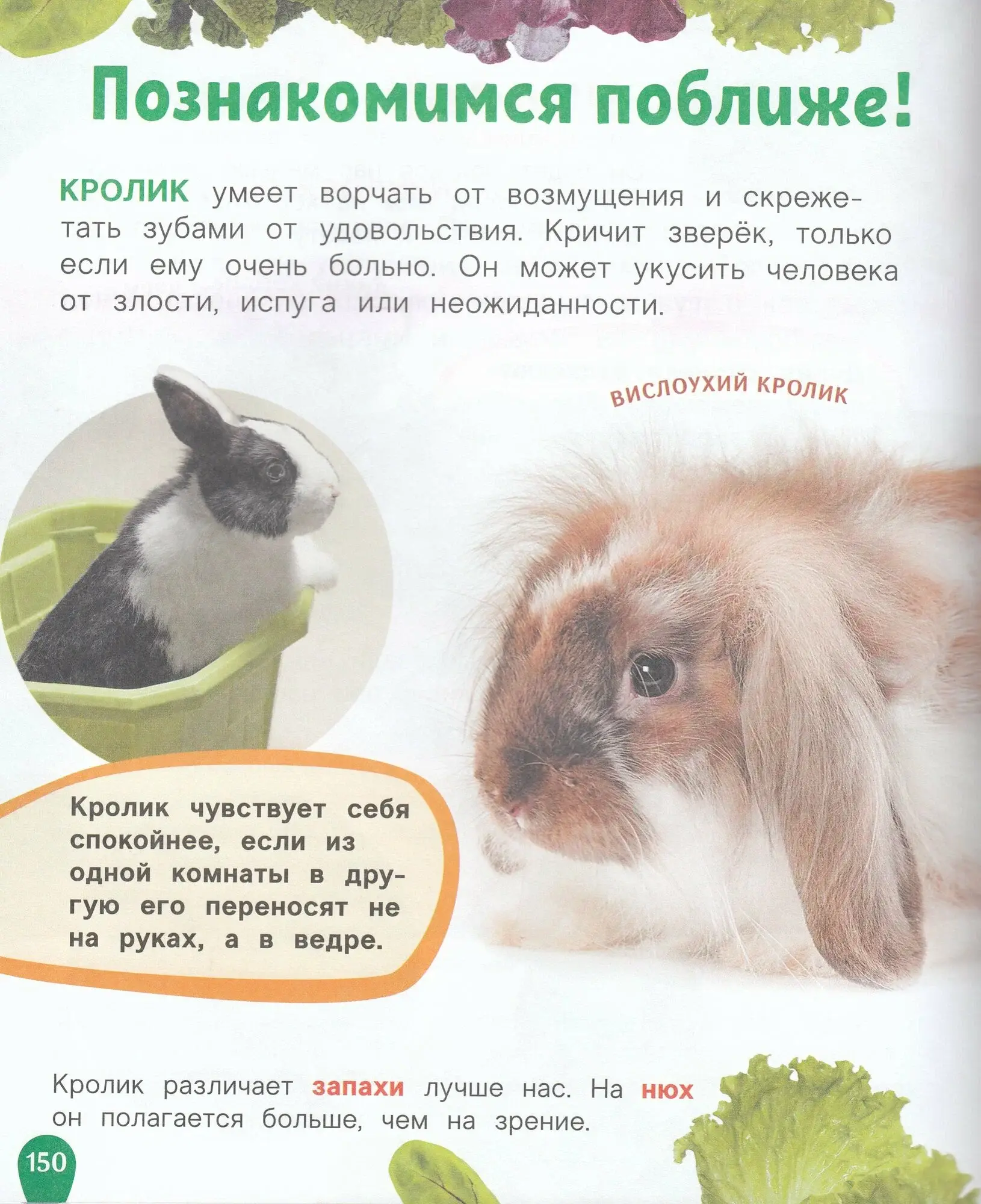 Животные. Лучшая детская энциклопедия фото книги 3