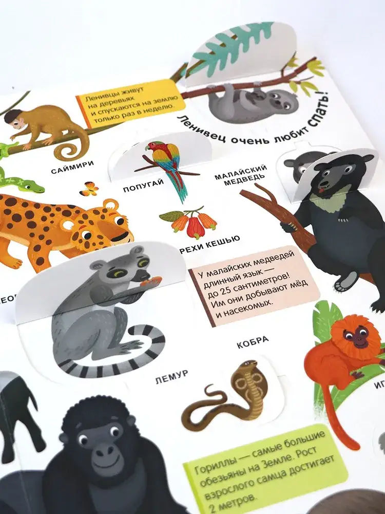 Мой первый словарь. Живая природа фото книги 5