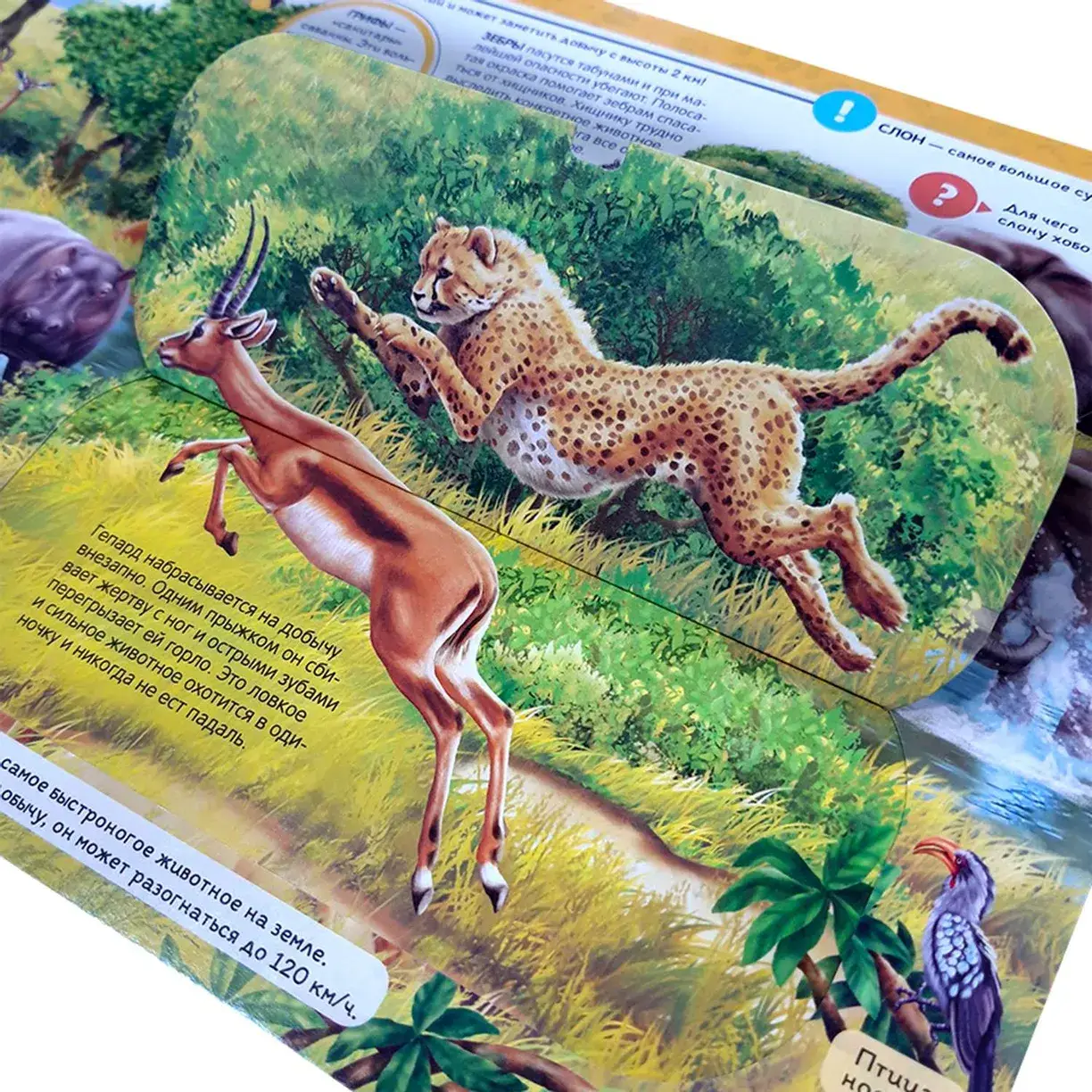 Энциклопедия открытий. Животные фото книги 2