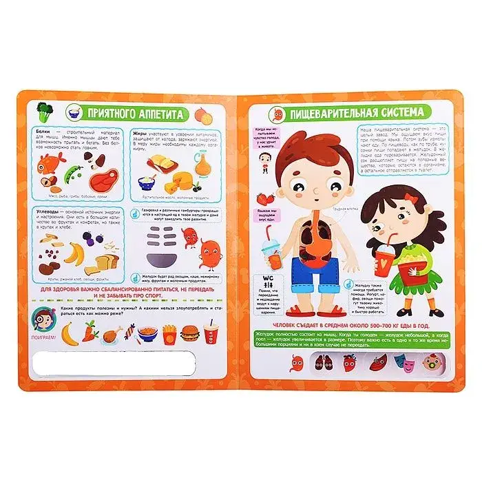 Анатомия фото книги 2