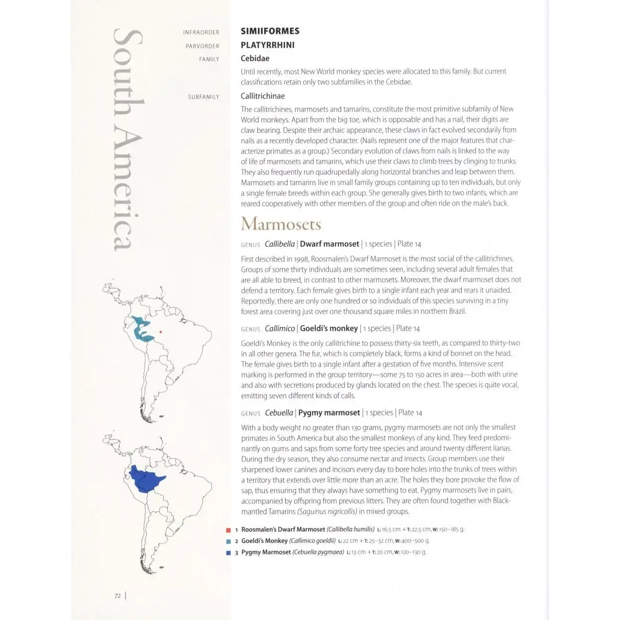 Primates of the World: An Illustrated Guide фото книги 5
