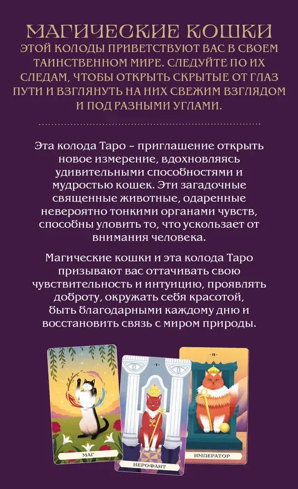 Таро магических кошек (78 карт и руководство к колоде) фото книги 3