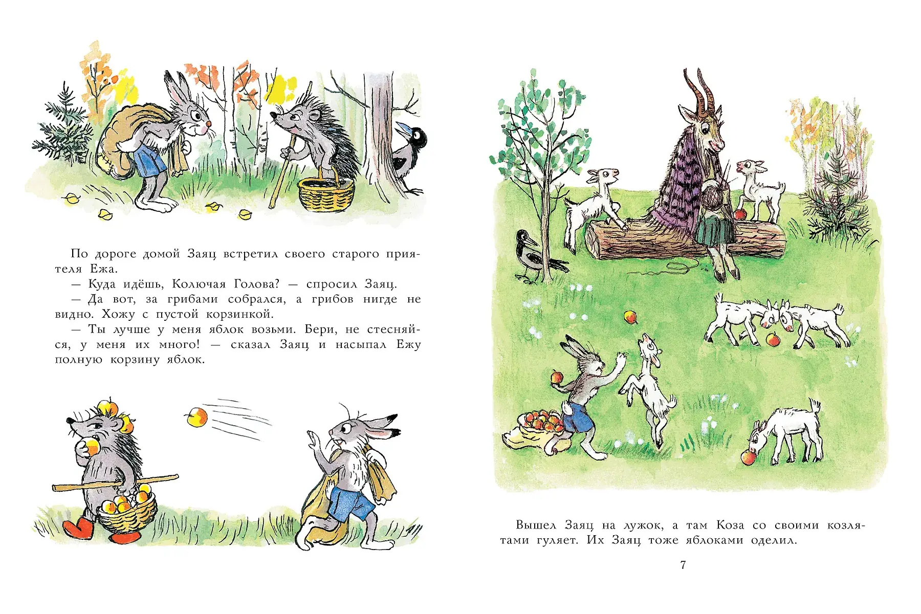 Мешок яблок. Рисунки автора фото книги 5