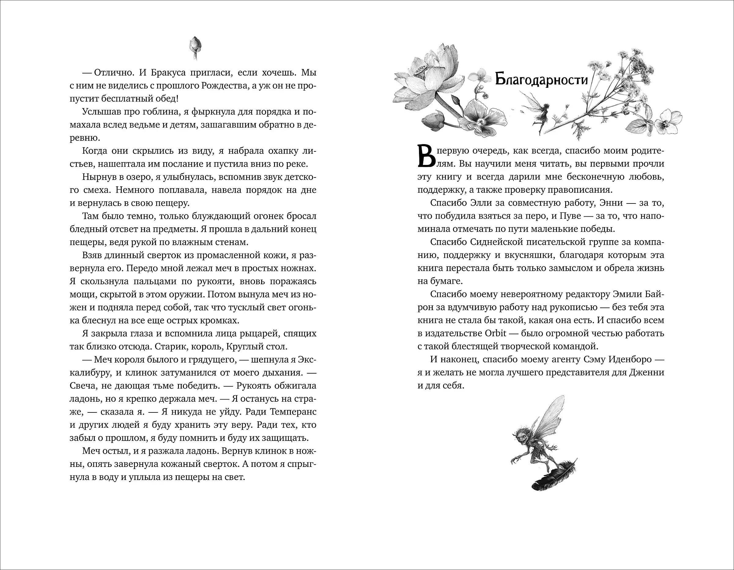 В моем болоте утонула ведьма фото книги 4