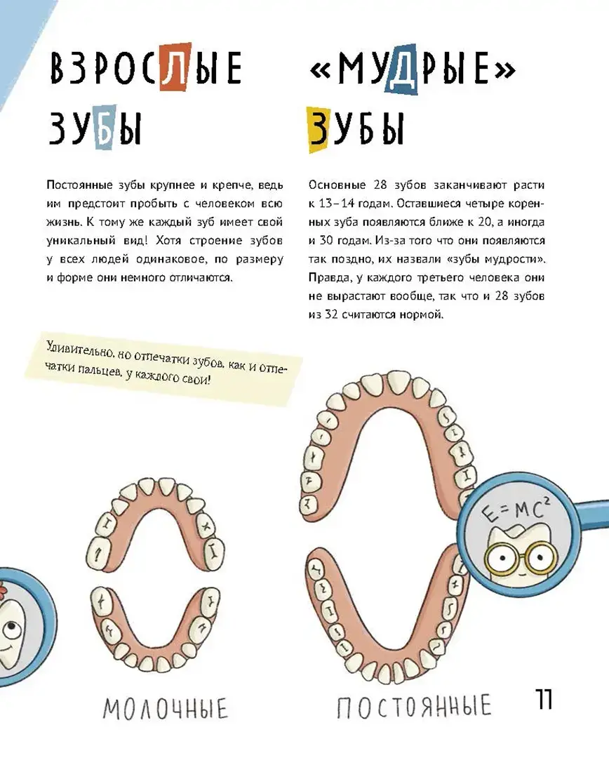 Зубастая энциклопедия фото книги 5