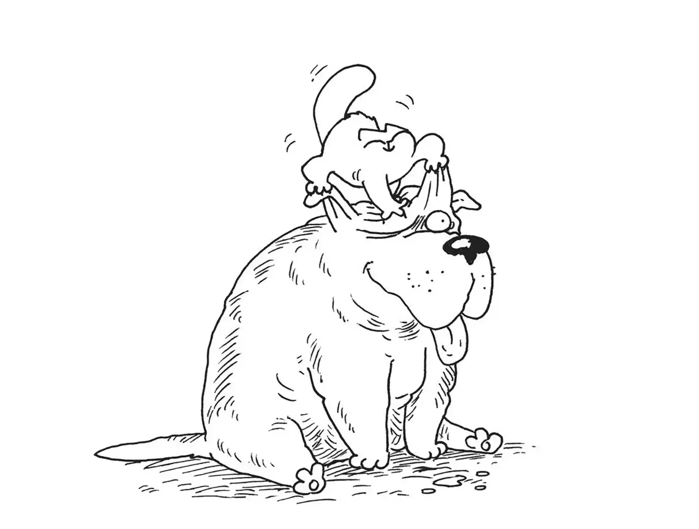 Кот Саймона: собачий ответ фото книги 3