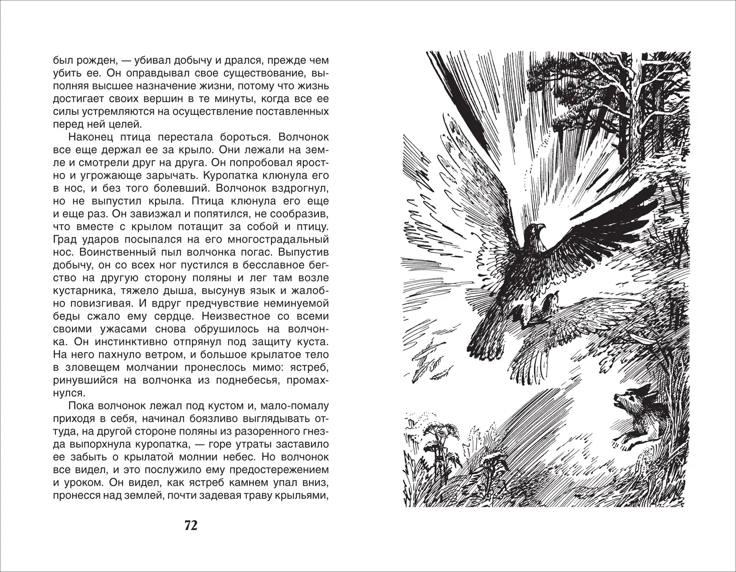 Белый клык фото книги 3