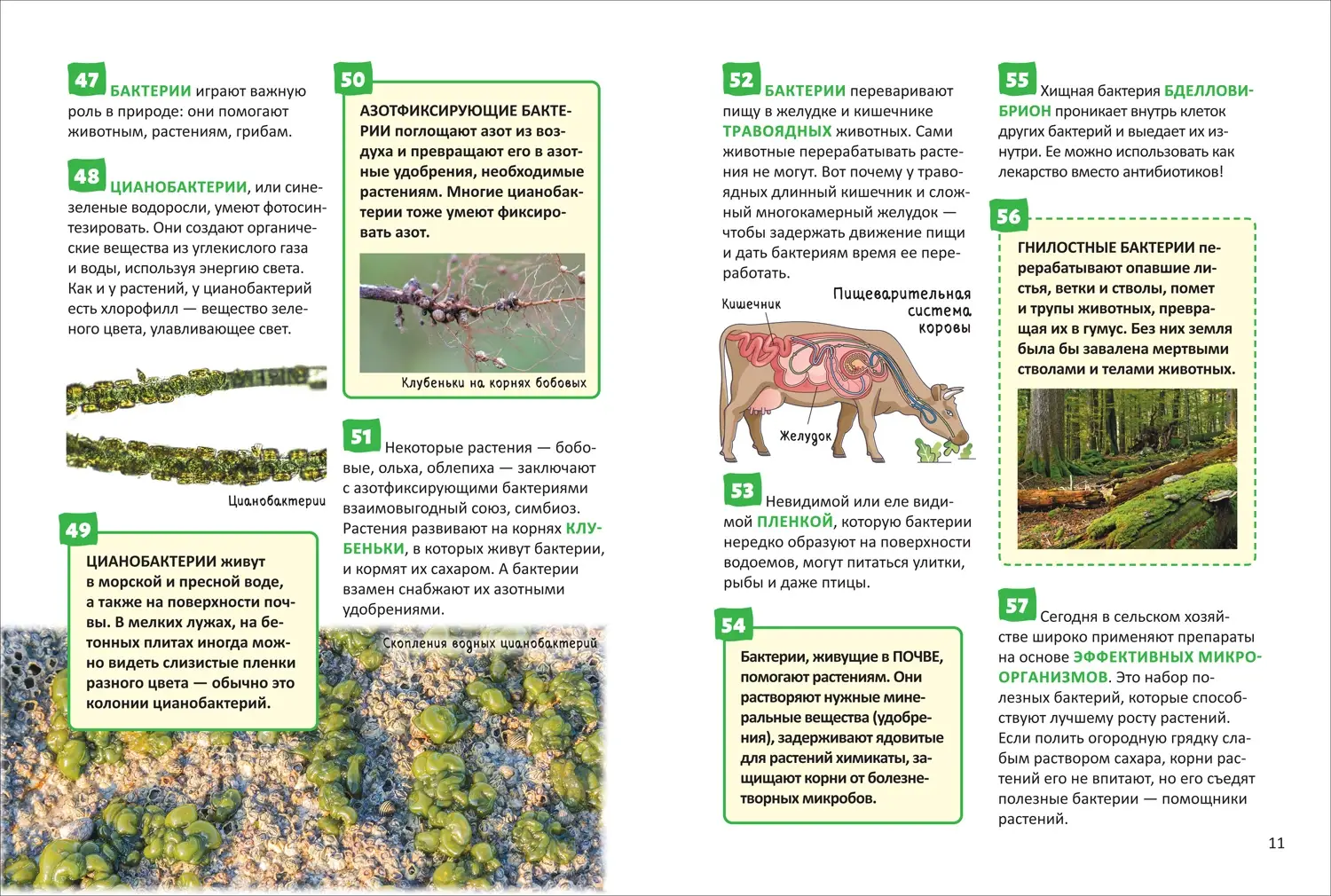 Микромир фото книги 5