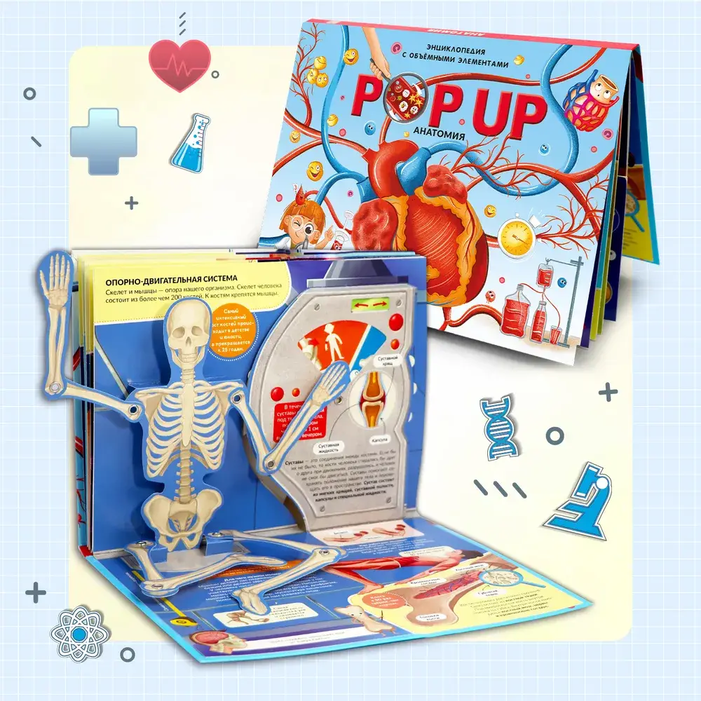 POP UP энциклопедия. Анатомия. Книжка-панорамка фото книги 2