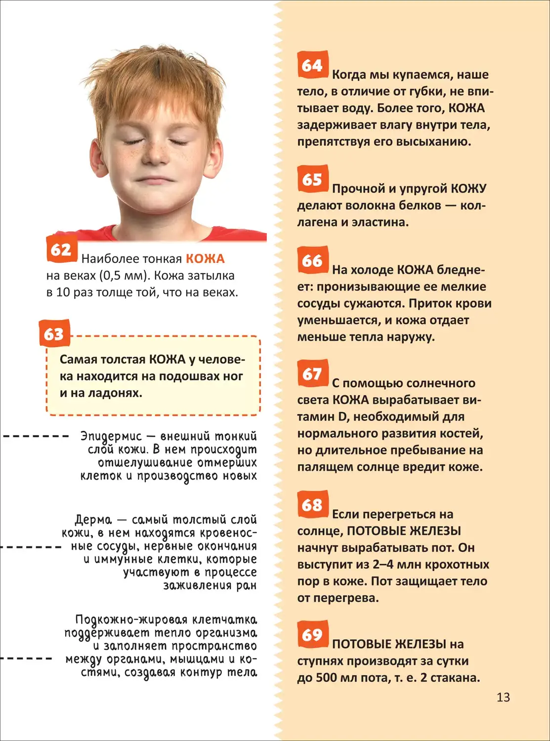 Человек. Энциклопедия российского школьника фото книги 5