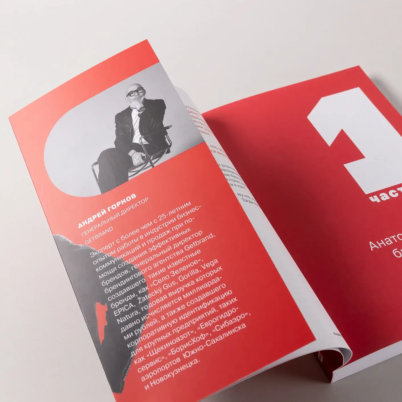 О чем ваш бизнес? Как создать корпоративный бренд, чтобы «рвать» конкурентов и нанимать лучших фото книги 5