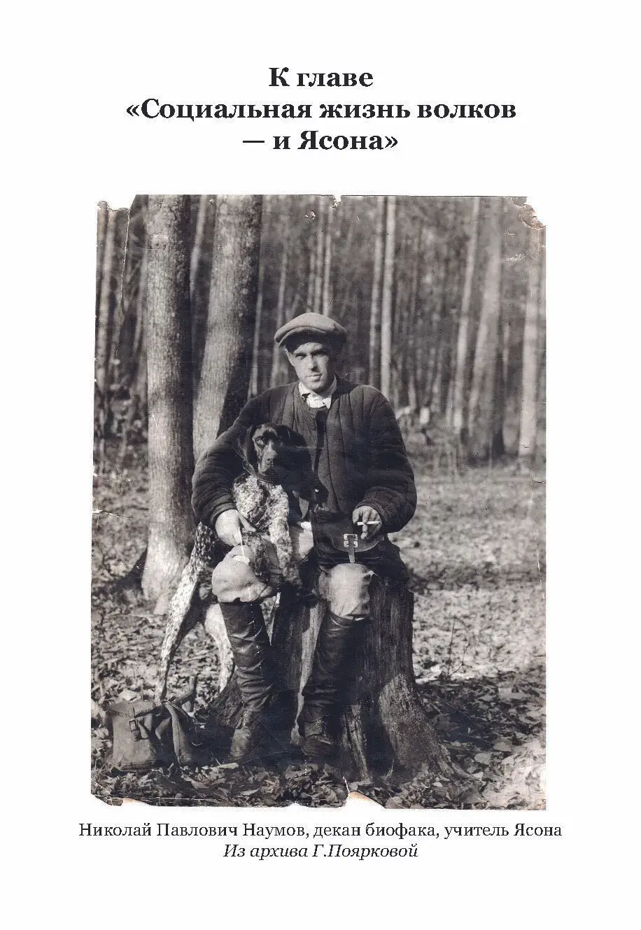 Жизнь с волками фото книги 5