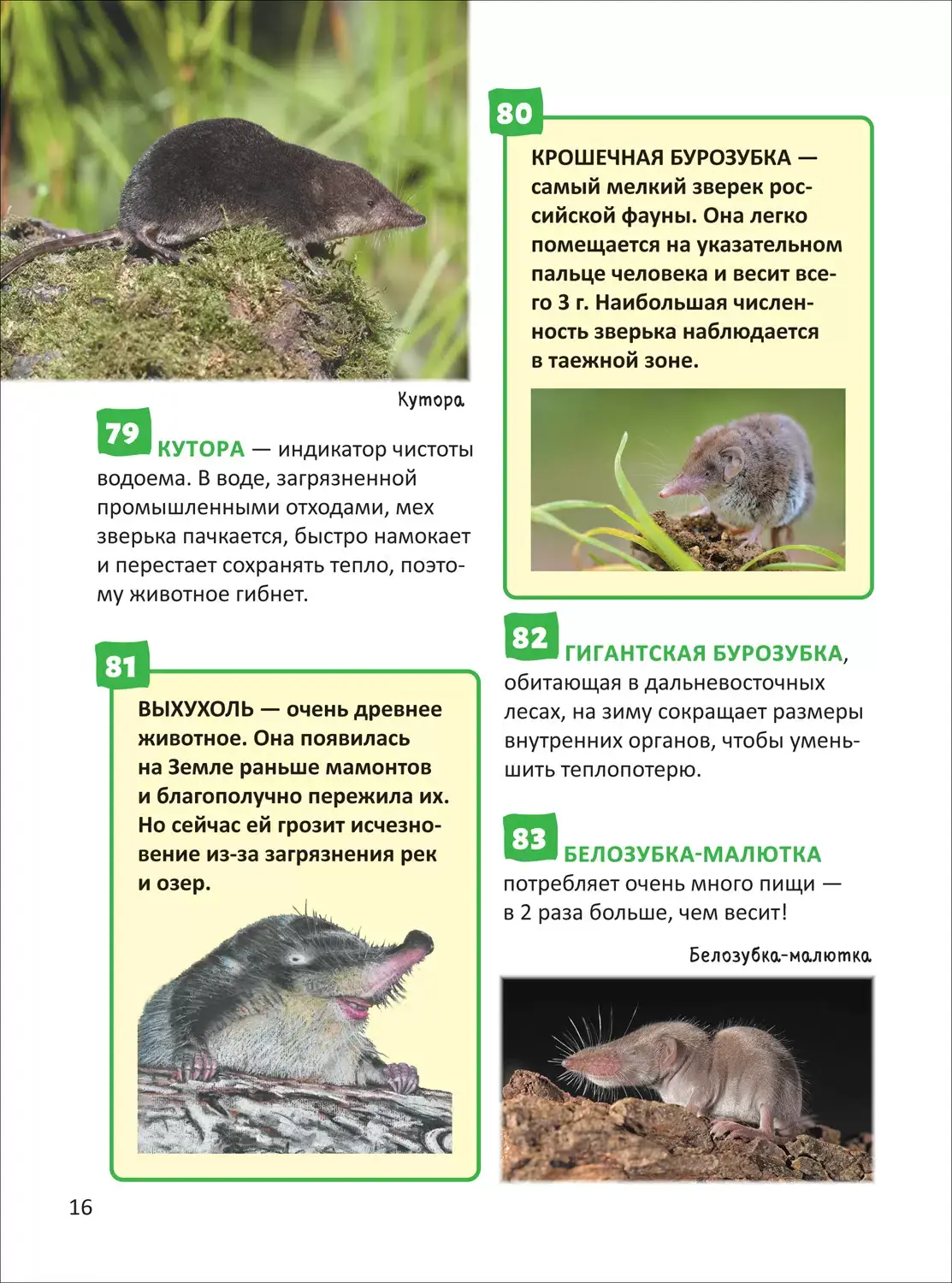 Красная книга. Энциклопедия российского школьника фото книги 4