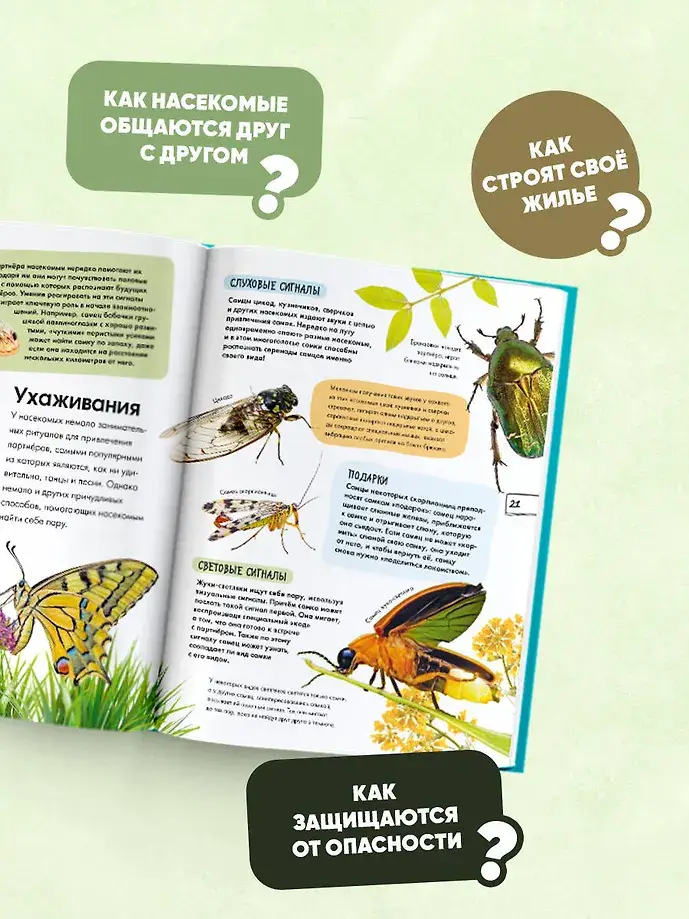 Насекомые фото книги 5
