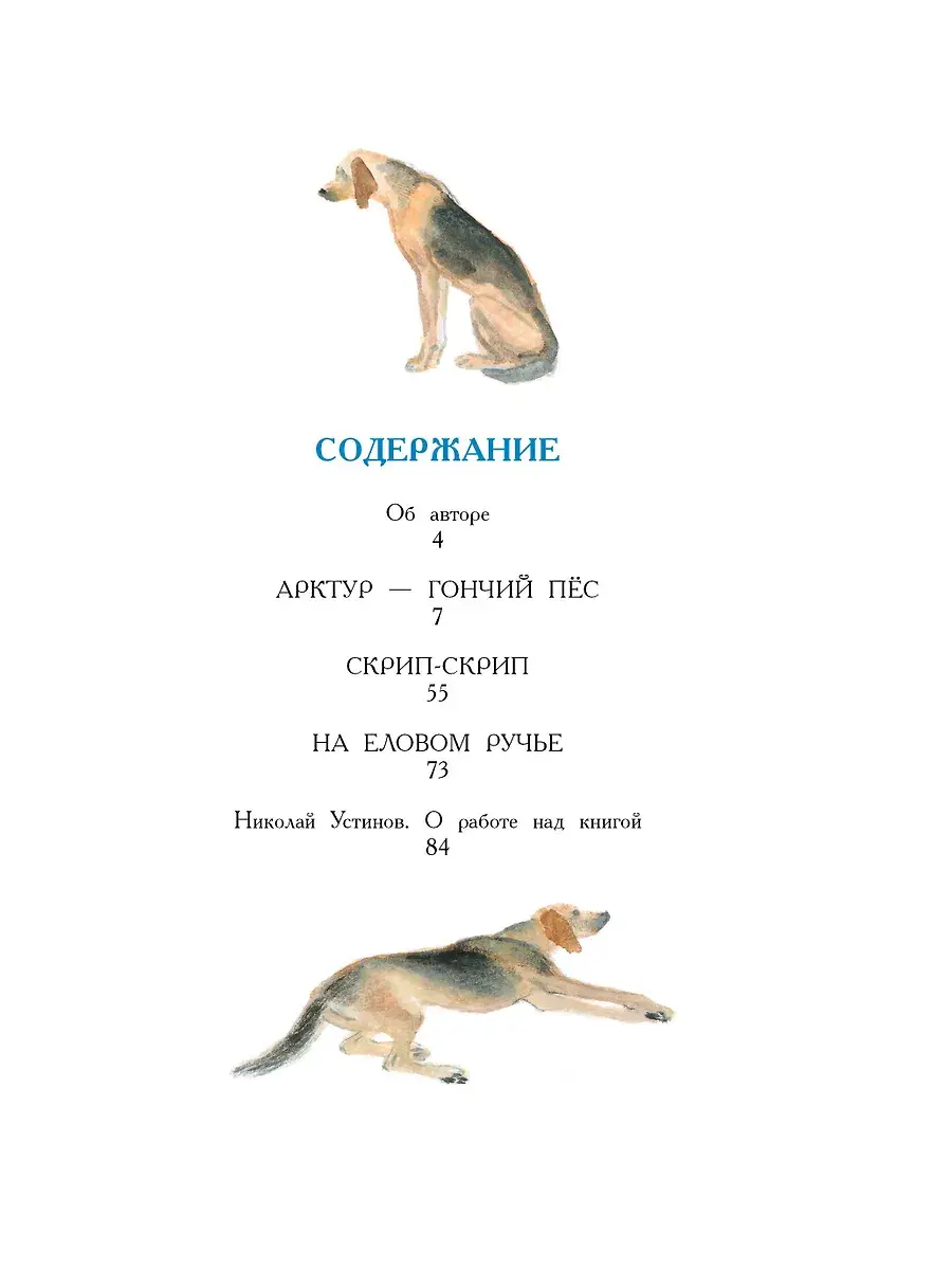 Арктур - гончий пёс. Рис. Н. Устинова фото книги 4