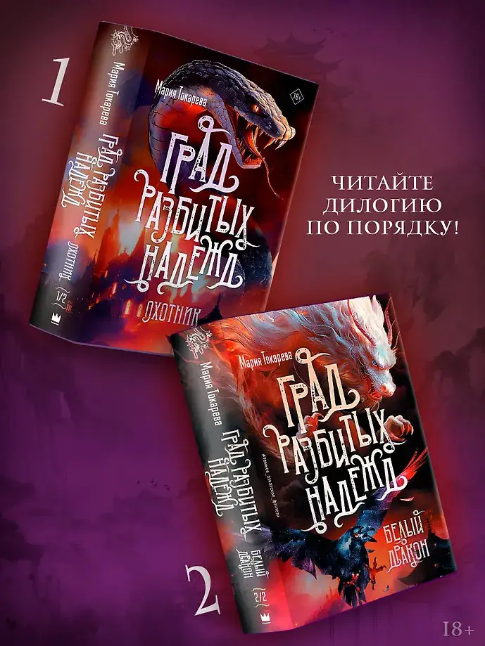 Град разбитых надежд. Белый Дракон фото книги 4