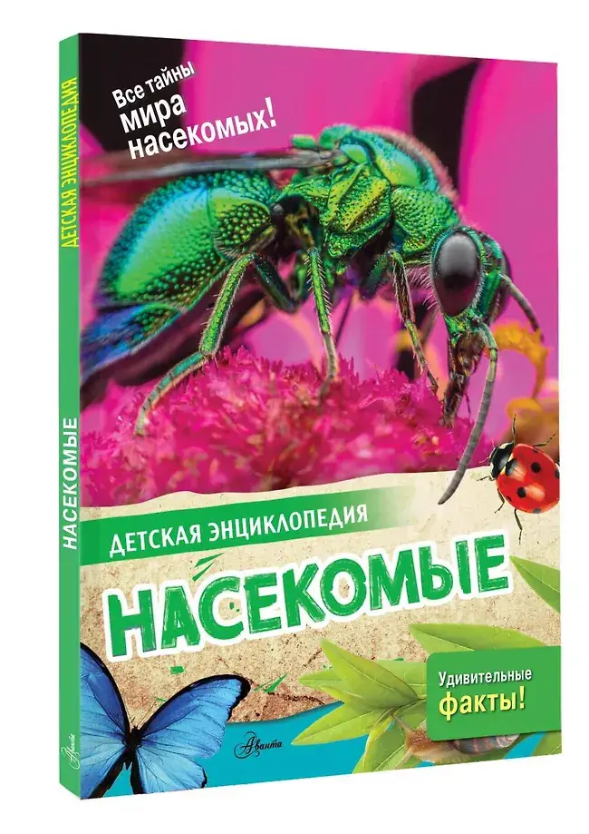 Насекомые фото книги 2