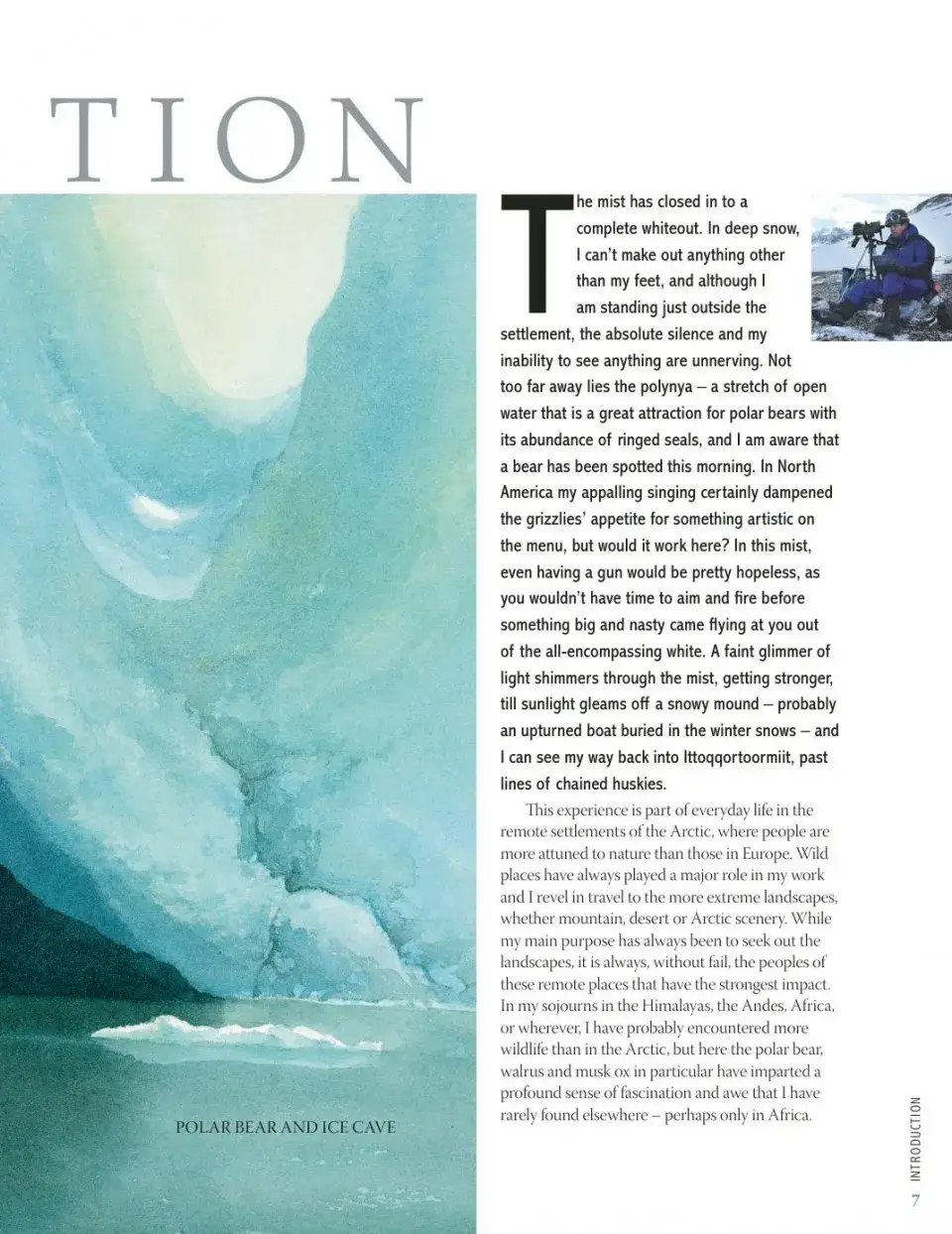 David Bellamy`s Arctic Light фото книги 5