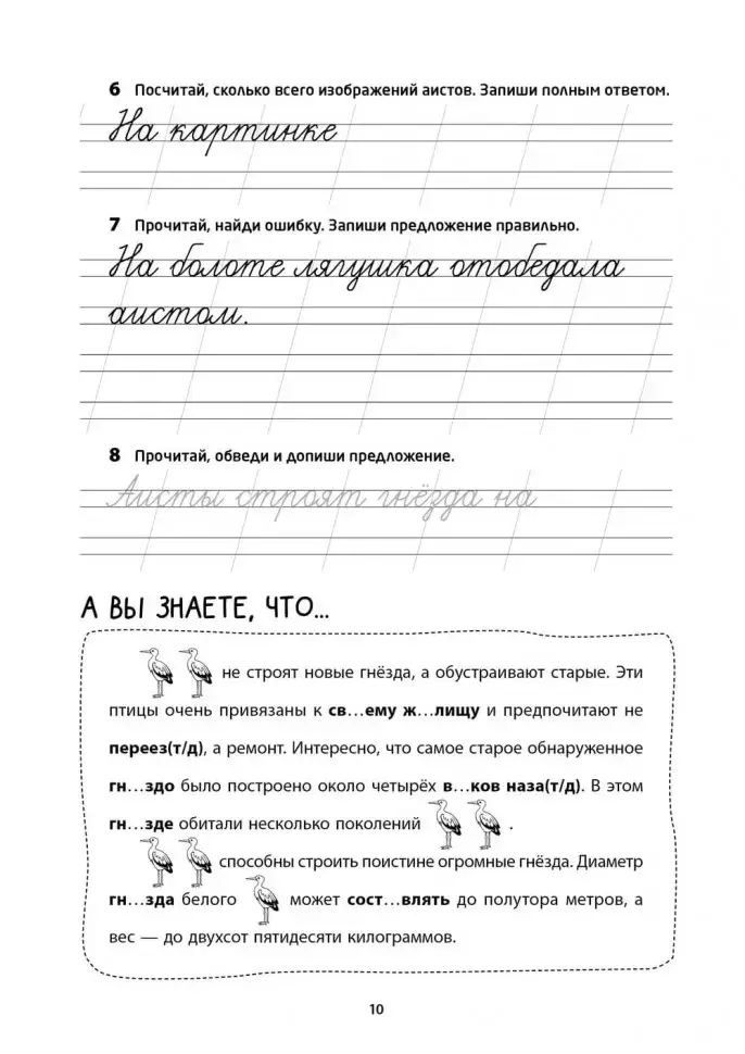 Рабочая тетрадь «Логоментальные прописи и тренажеры для начальной школы. Птицы». Обучение чтению и письму. Нейропрописи фото книги 10