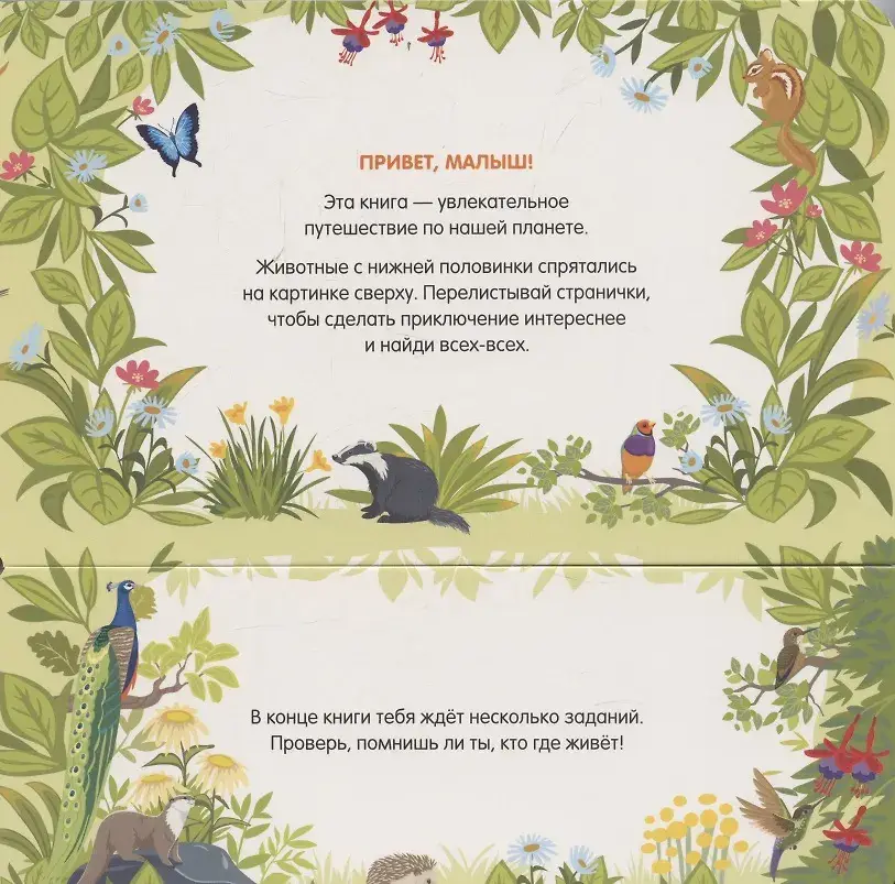 В зоопарке фото книги 2