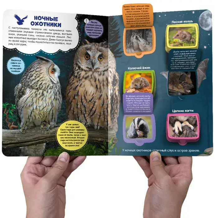 В лесу фото книги 3