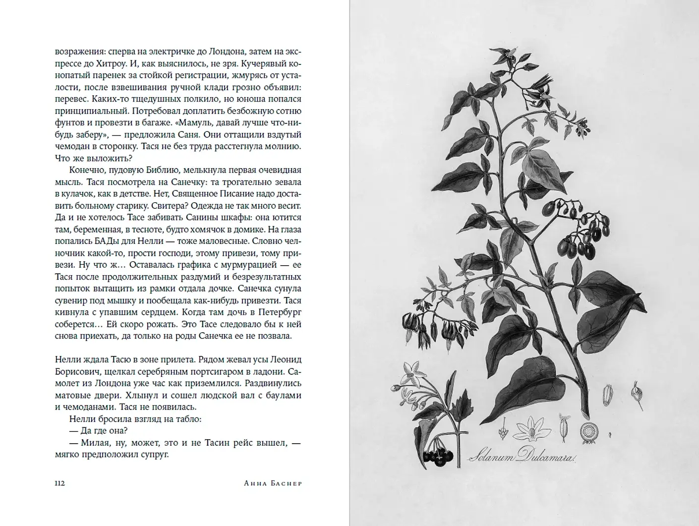 Круг, петля, спираль фото книги 3