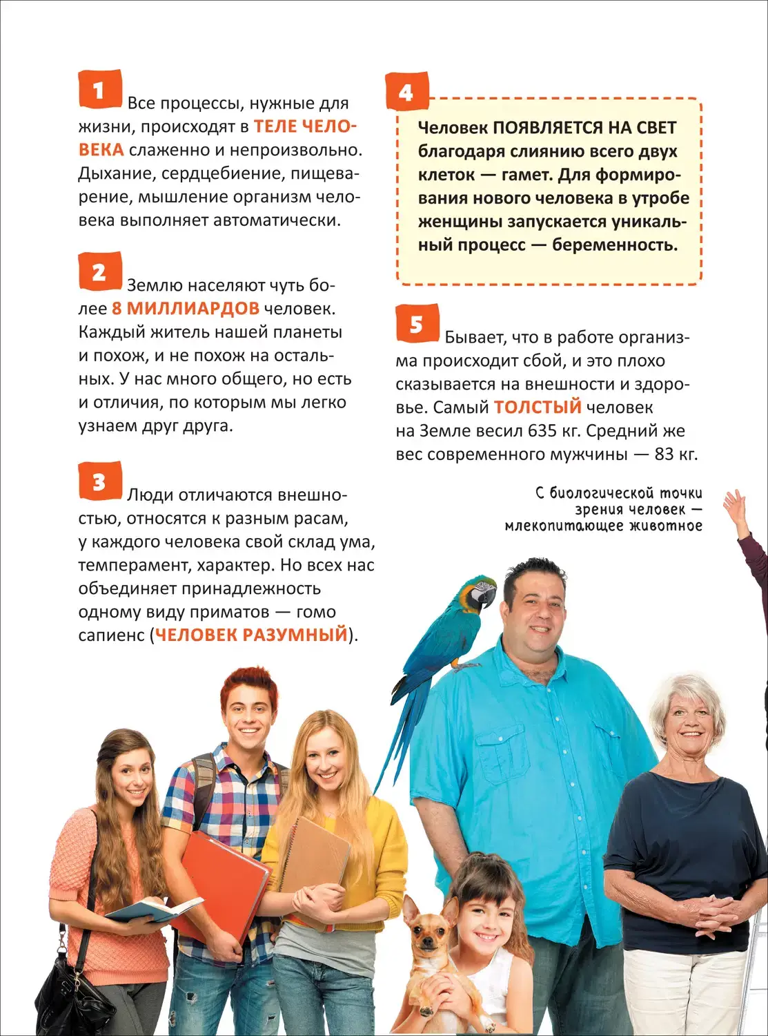 Человек. Энциклопедия российского школьника фото книги 2