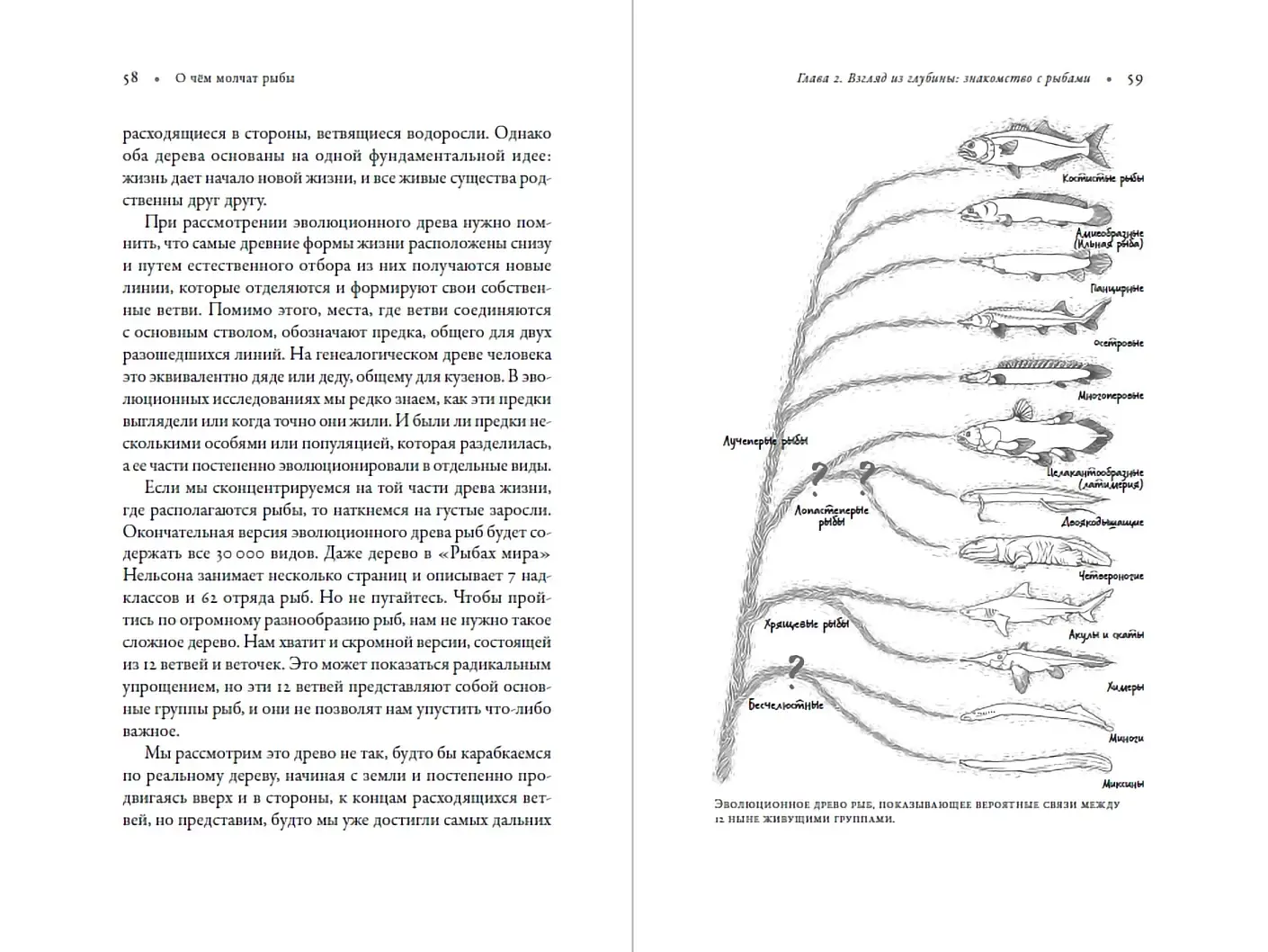 О чем молчат рыбы. Путеводитель по жизни морских обитателей фото книги 3