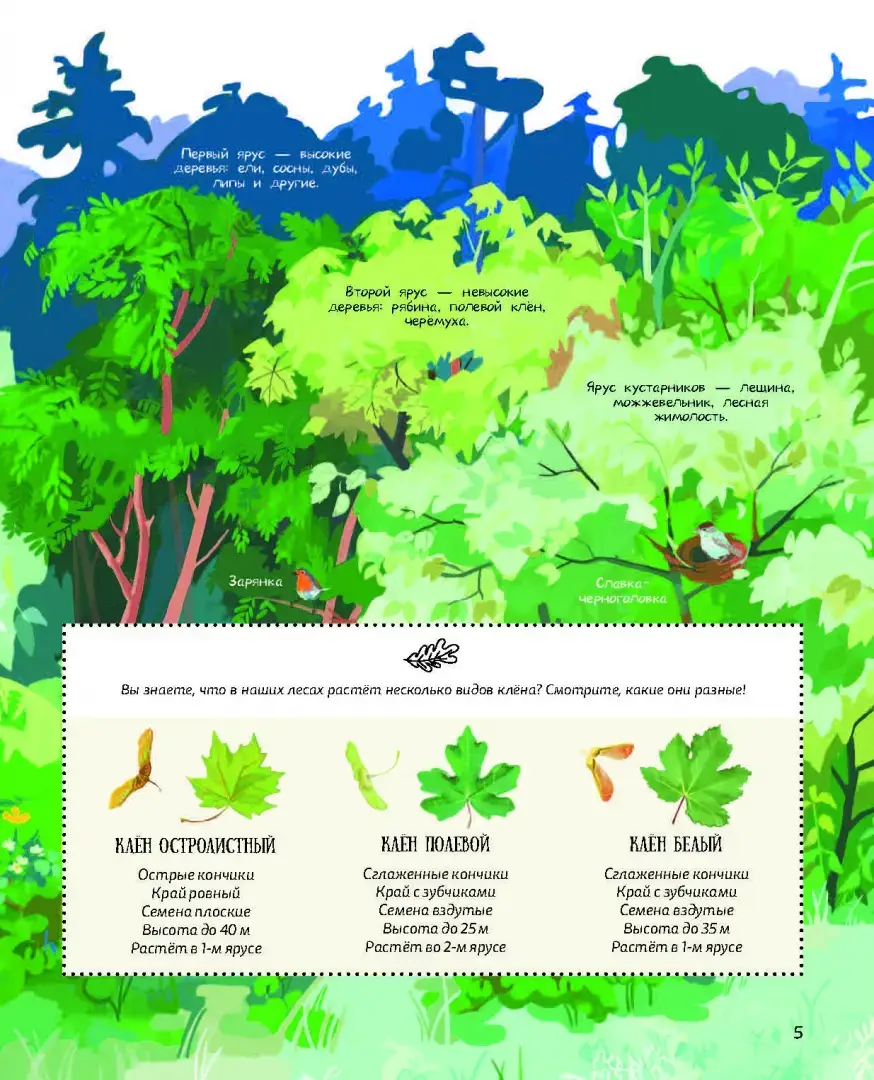 Лес. Самый умный дом на свете фото книги 5