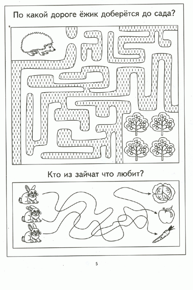 Пройди лабиринты. Задания на зрительное восприятие и мелкую моторику рук. Для детей 4-5 лет фото книги 3