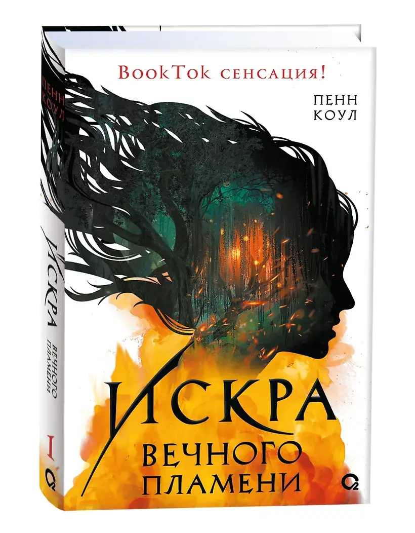 Искра вечного пламени фото книги 4