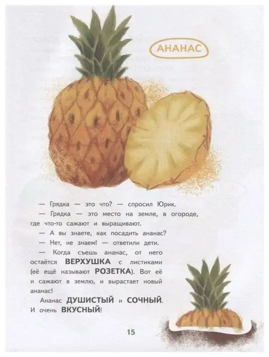 Фрукты, овощи и гусеница Дуняша фото книги 3