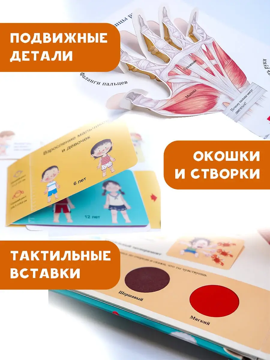 Все секреты человека фото книги 5