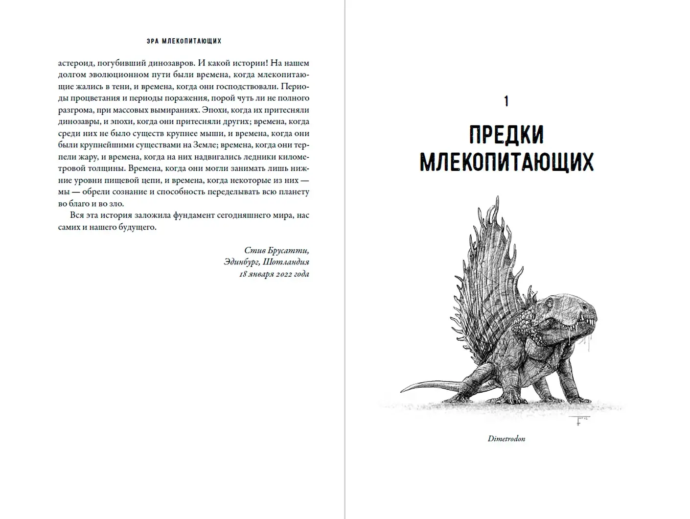 Эра млекопитающих: Из тени динозавров к мировому господству фото книги 2