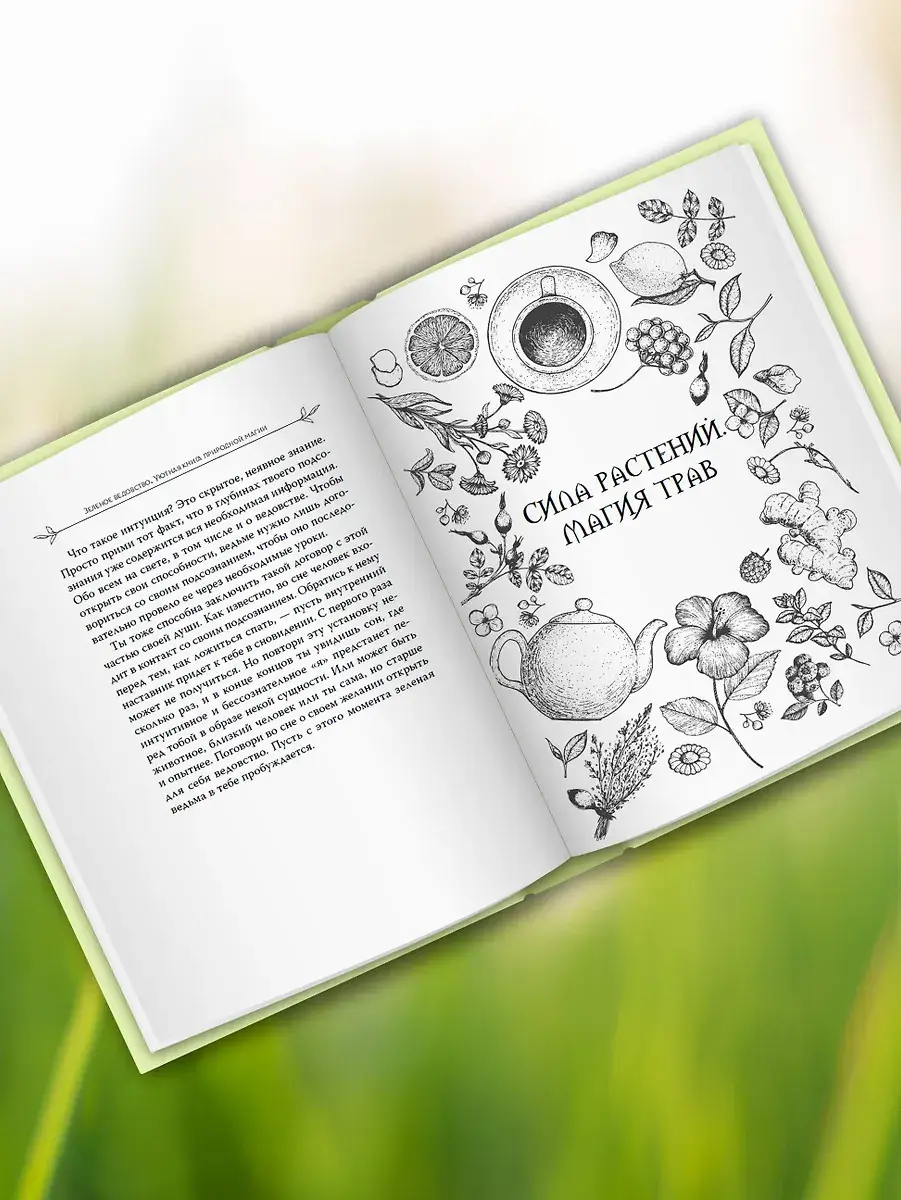 Зеленое ведовство. Уютная книга природной магии фото книги 4
