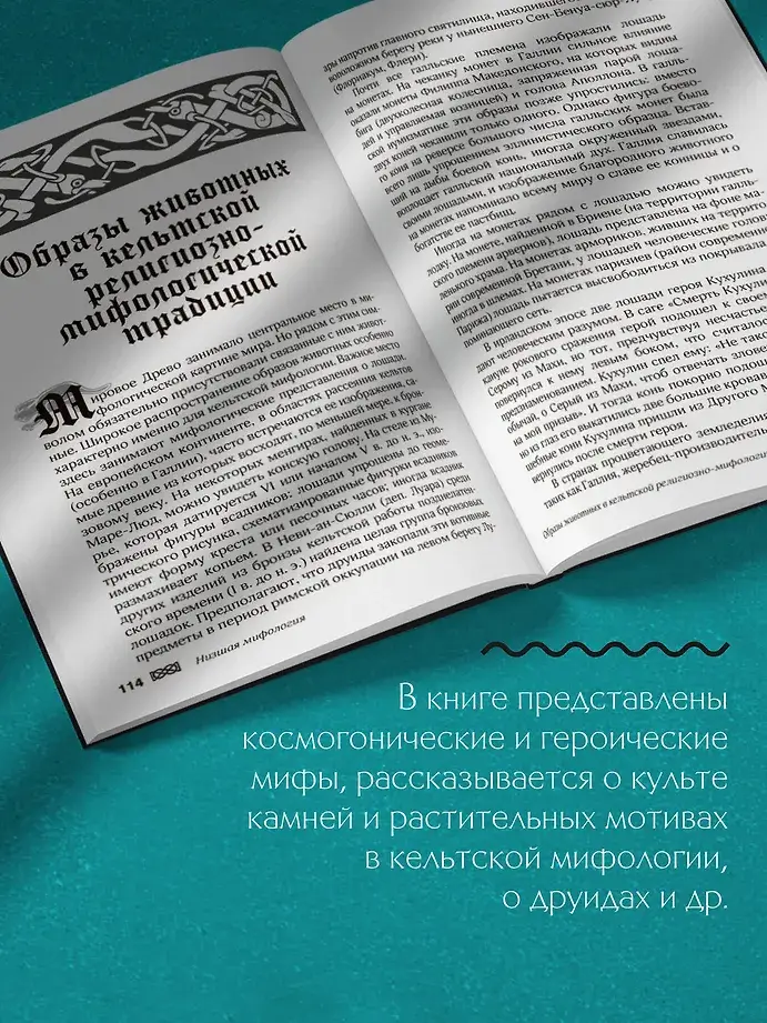 Мифы кельтских народов. Боги, герои, силы природы, символы, мотивы, ритуалы, друиды фото книги 5
