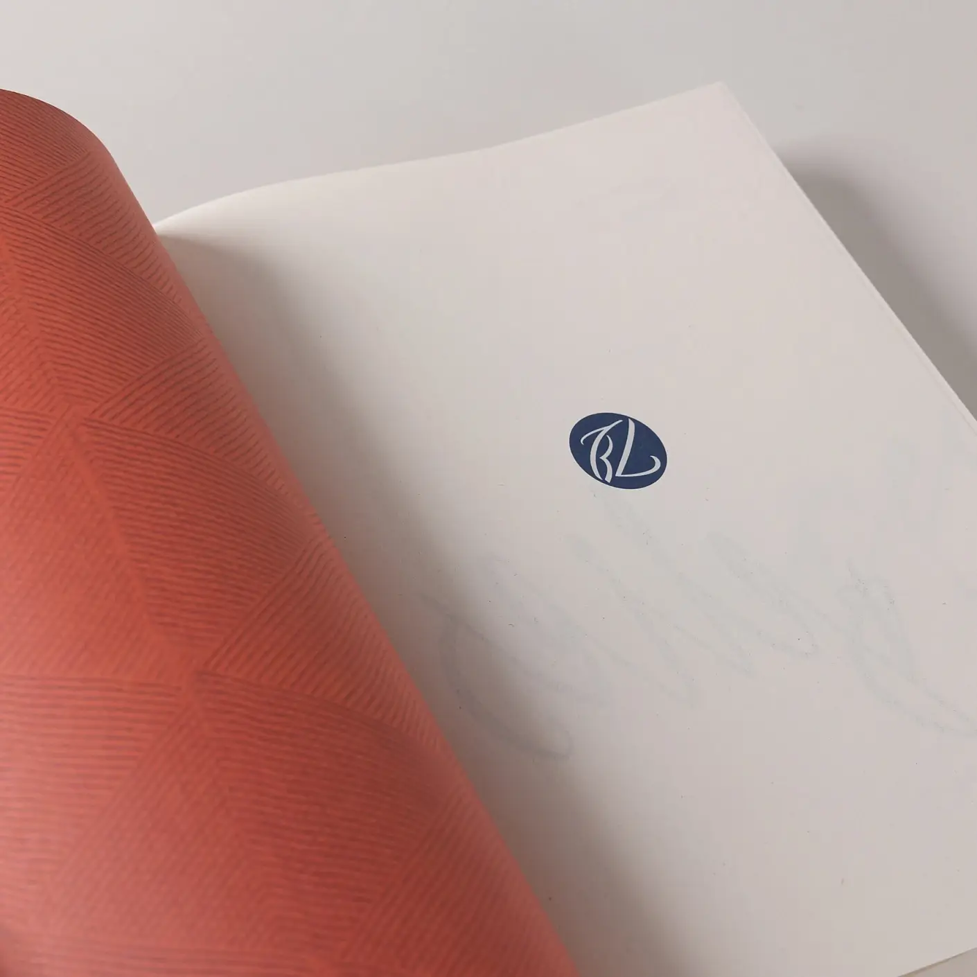 Тедди фото книги 5