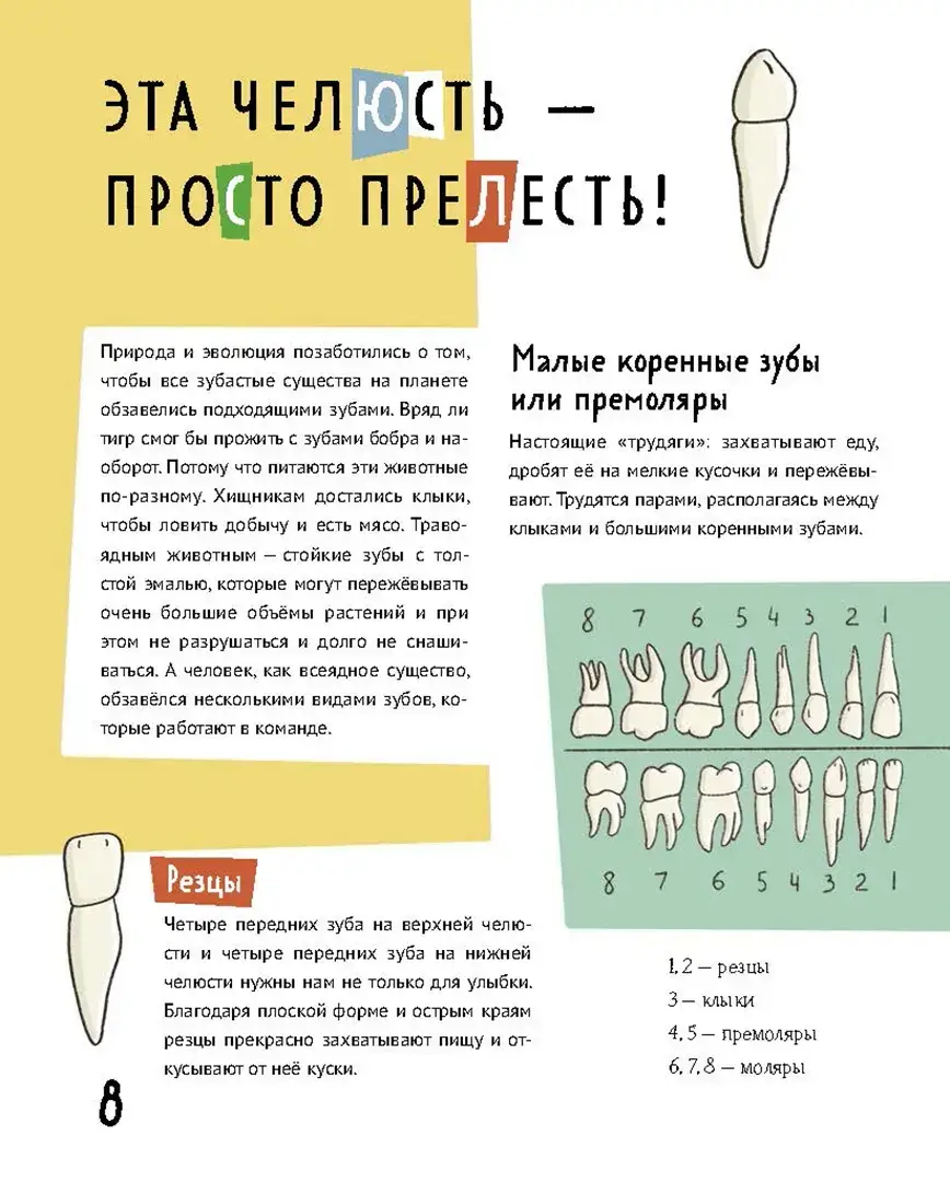 Зубастая энциклопедия фото книги 2