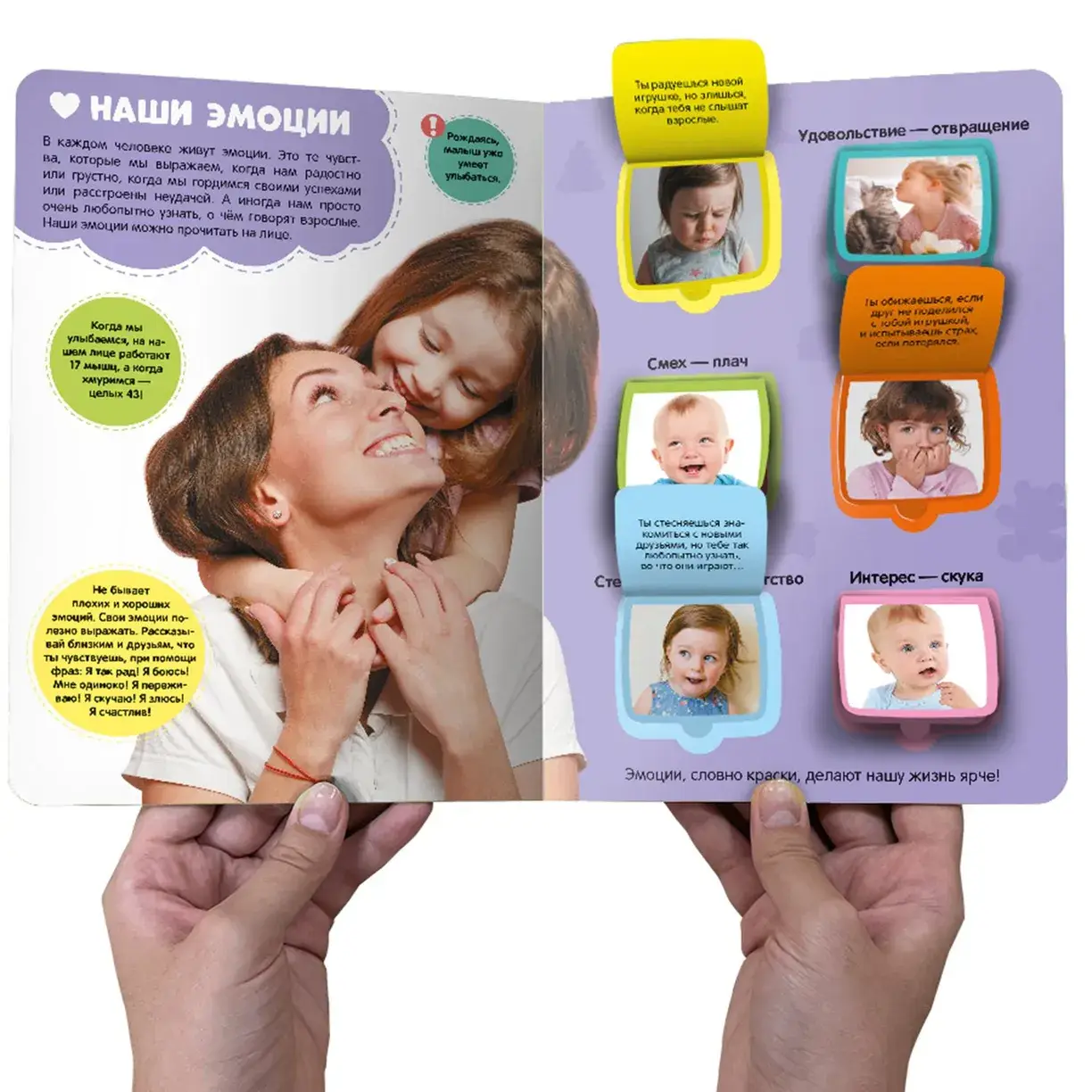 Мое тело. Энциклопедия с окошками фото книги 2