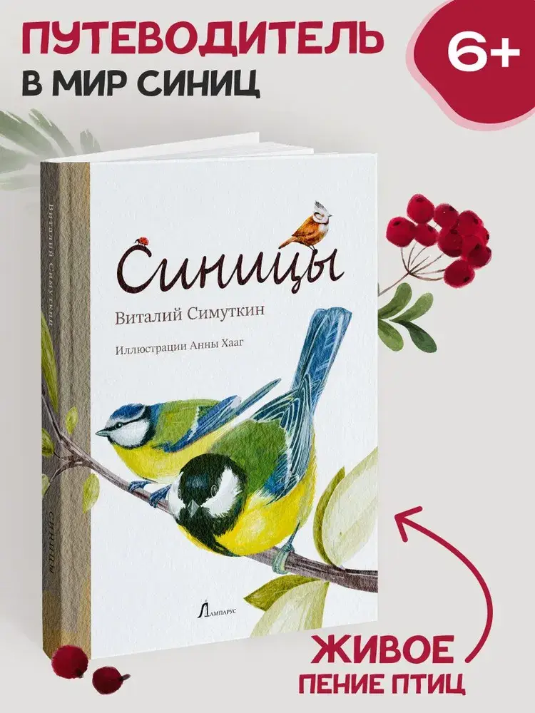 Синицы фото книги 2